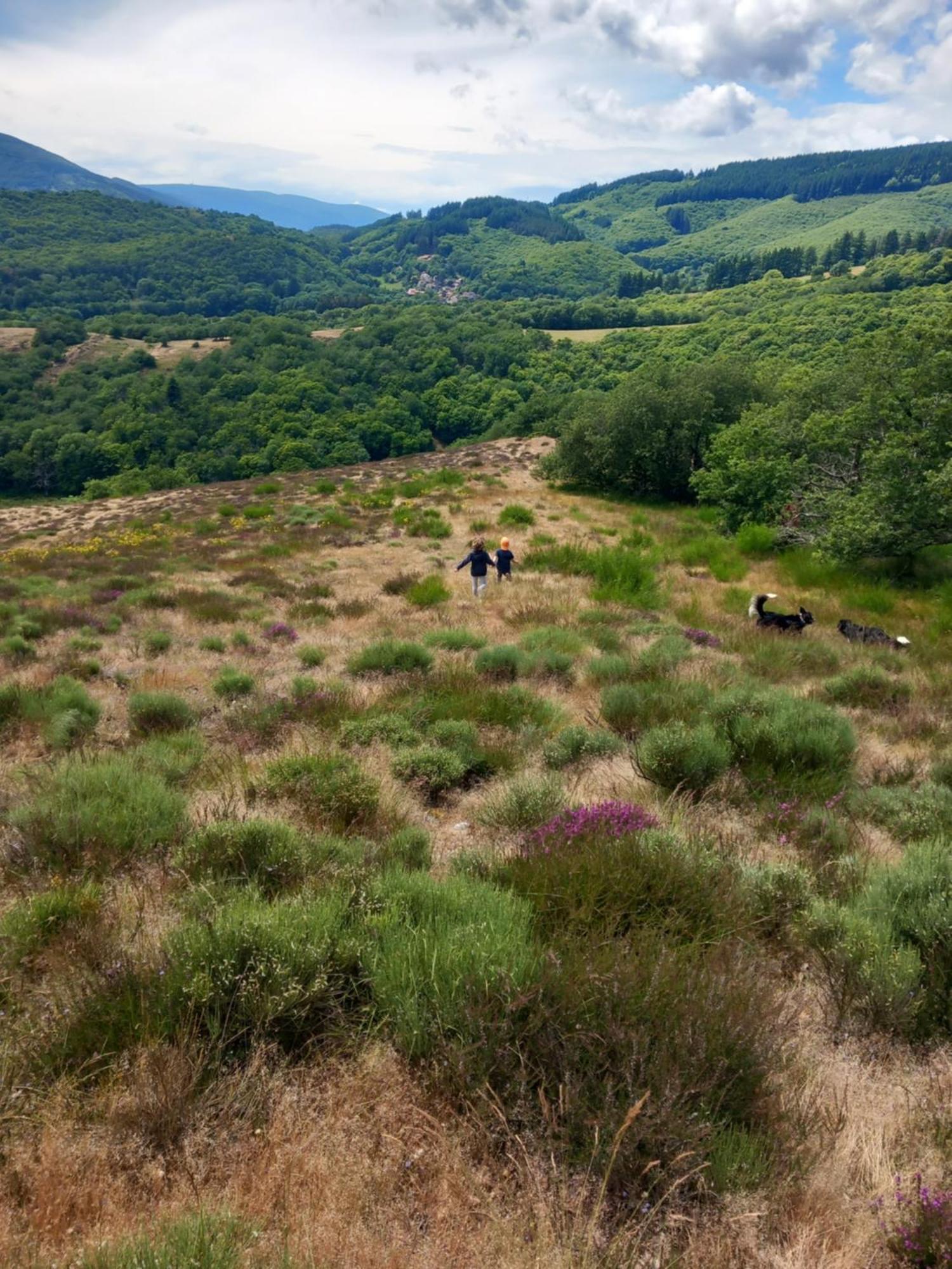 Nabat Le Haut, Chambre Et Table D'Hotes Courniou Exterior foto